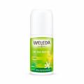 WELEDA Deo Citrus 24h Roll-on 50ml