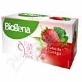 CAJ BIOGENA FANTASTIC JAHODA & GINKGO 20X2G