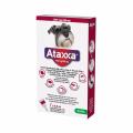 Ataxxa pro psy 10-25kg spot-on 1x2,5ml