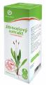 Jitrocelov extrakt s vit.C 310g Galmed