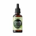 Allnature Chlorofyl z bl morue koncentrt 30ml