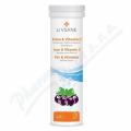 LIVSANE elezo + Vitamin C umiv tablety 20ks