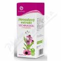 Jitrocelov extrakt s echinac.a vit.C 310g Galmed
